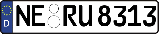 NE-RU8313