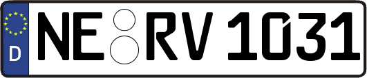 NE-RV1031