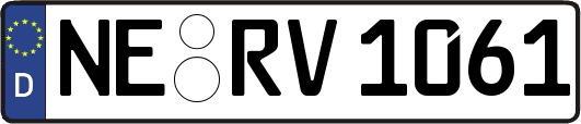 NE-RV1061
