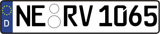 NE-RV1065