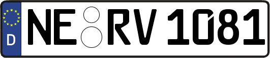NE-RV1081