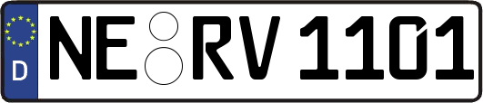 NE-RV1101