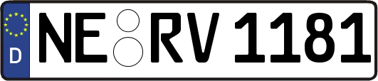 NE-RV1181