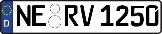 NE-RV1250