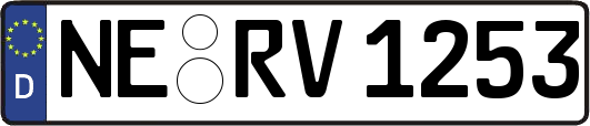 NE-RV1253