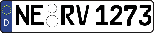 NE-RV1273