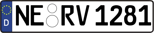 NE-RV1281