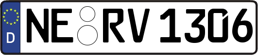 NE-RV1306