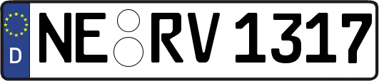 NE-RV1317