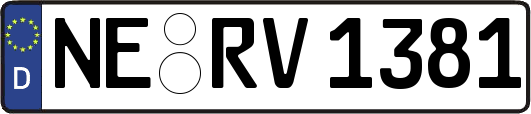 NE-RV1381
