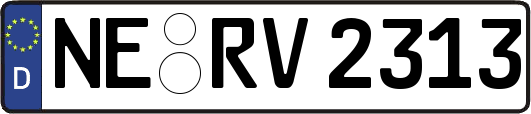 NE-RV2313