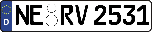 NE-RV2531