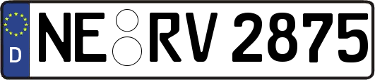 NE-RV2875