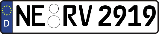 NE-RV2919