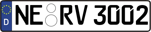 NE-RV3002
