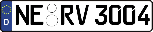 NE-RV3004