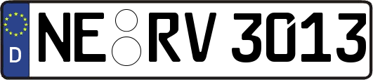 NE-RV3013