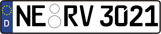 NE-RV3021