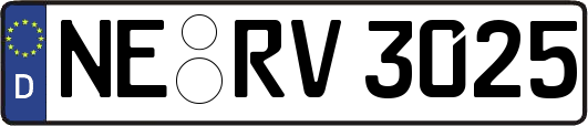 NE-RV3025