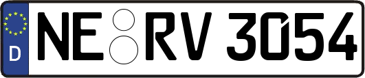 NE-RV3054