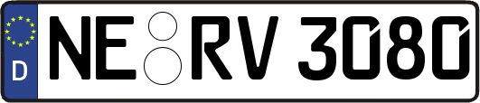 NE-RV3080