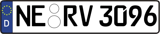 NE-RV3096