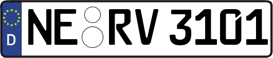 NE-RV3101