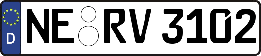 NE-RV3102