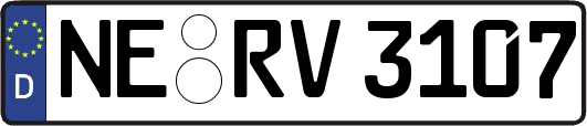 NE-RV3107