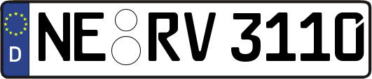 NE-RV3110