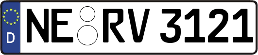 NE-RV3121