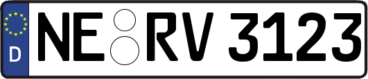 NE-RV3123
