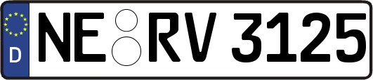 NE-RV3125
