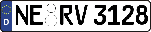 NE-RV3128