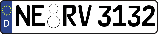 NE-RV3132