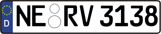 NE-RV3138