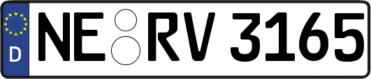 NE-RV3165