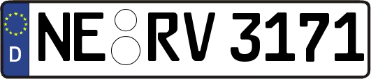 NE-RV3171