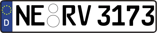 NE-RV3173