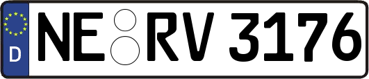 NE-RV3176