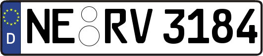 NE-RV3184