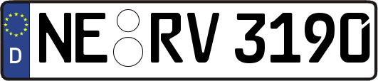 NE-RV3190