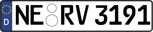 NE-RV3191