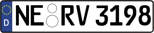 NE-RV3198