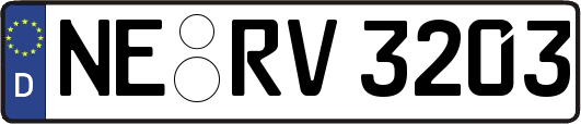 NE-RV3203