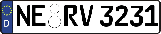 NE-RV3231