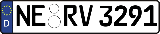 NE-RV3291