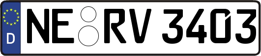 NE-RV3403