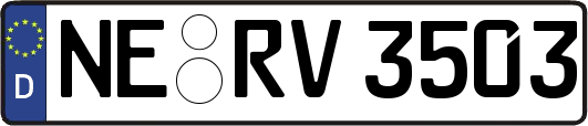 NE-RV3503