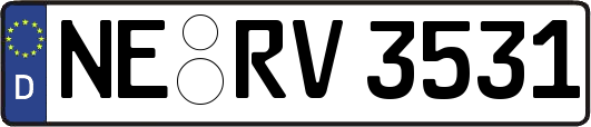 NE-RV3531